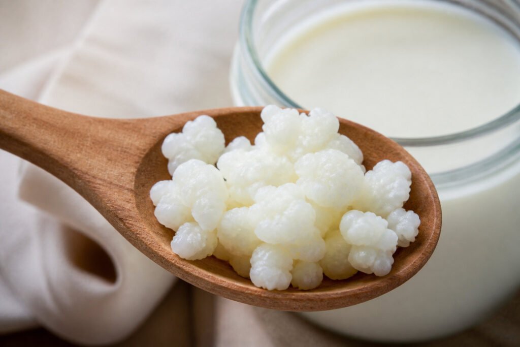 Des grains de kéfir blancs et texturés reposant sur une cuillère en bois devant un bocal de lait fermenté.